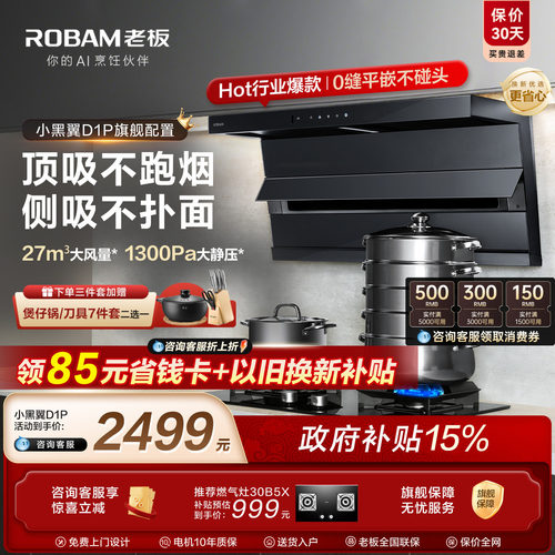 热销第一！老板小黑翼D1P升级款