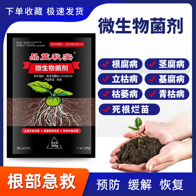 中药材黄精玉竹根腐死苗烂根腐烂根腐病枯萎生根微生物菌肥料治疗