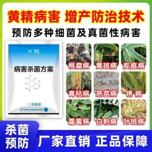 黄精玉竹专用杀菌剂炭疽病枯萎病黄叶根腐病叶斑预防治疗壮苗病害