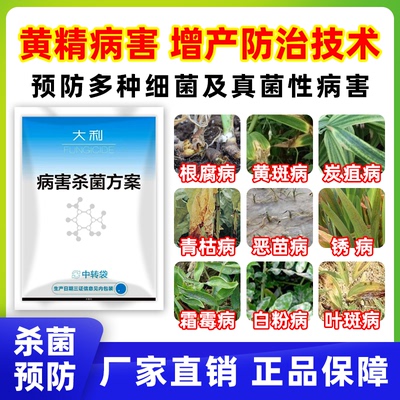 黄精玉竹专用杀菌剂炭疽病枯萎病黄叶根腐病叶斑预防治疗壮苗病害