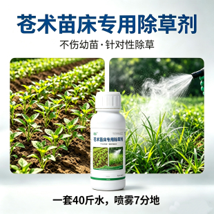苍术育苗除草剂幼苗床专用苗后除草剂  2片叶子后可用