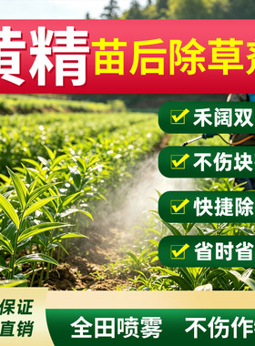 黄精苗除草剂老虎姜小苗后灭草药禾阔双杀不伤苗农药全田喷雾