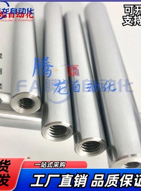 导向轴 两端内螺纹 C-CSFJZ8 CPSFJZ12 PSFJW16 CSFJ25 替米si米