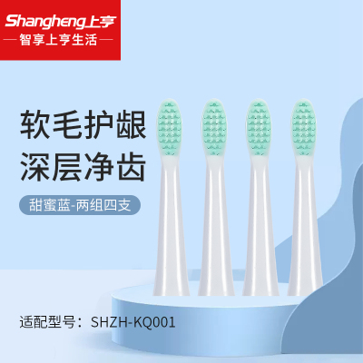 适配SHZH-KQ001上亨电动牙刷头