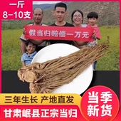 当归500g克整条甘肃初级中药材正品 官方旗舰店新鲜野生非党参黄芪