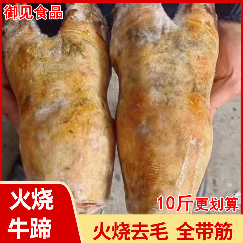 5斤黄牛脚新鲜整只现切生牛蹄子带牛蹄筋切圈带牛掌生鲜冷冻牛杂