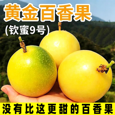 广西钦蜜9号百香果应季新鲜水果现摘现发装时令水果黄金百香果5斤