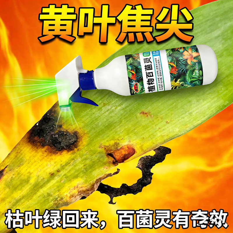 朱顶红红斑病红锈病烂根专用药杀菌剂催花爆芽素种球根营养液肥料,鲜花速递/花卉仿真/绿植园艺,家庭园艺肥料,淘宝优惠券,粉丝福利购,淘宝优惠卷