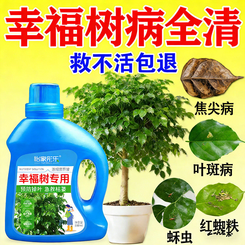 幸福树专用营养液专用肥料落叶掉叶子专用肥料专黄叶烂根营养液,鲜花速递/花卉仿真/绿植园艺,家庭园艺肥料,淘宝优惠券,粉丝福利购,淘宝优惠卷