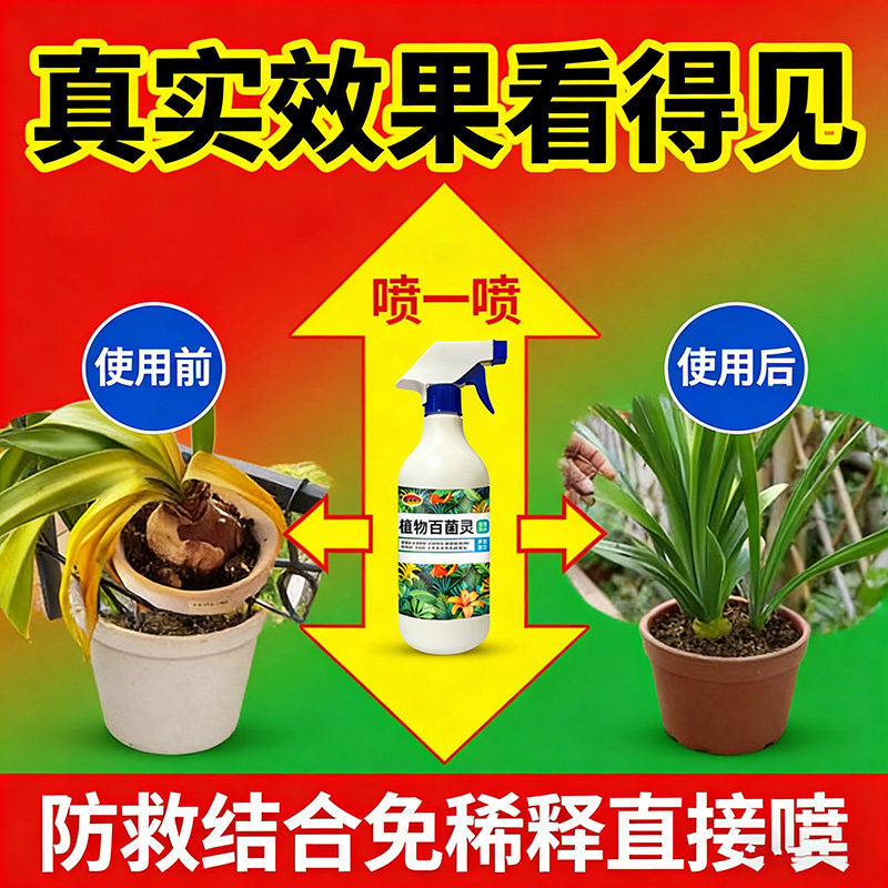 朱顶红红斑病红锈病烂根专用药杀菌剂催花爆芽素种球根营养液肥料,鲜花速递/花卉仿真/绿植园艺,家庭园艺肥料,淘宝优惠券,粉丝福利购,淘宝优惠卷