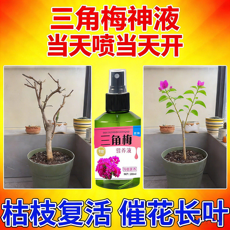 三角梅开花专用肥硫酸磷钾花肥料促花养花家用盆栽喜酸植物营养肥,鲜花速递/花卉仿真/绿植园艺,家庭园艺肥料,淘宝优惠券,粉丝福利购,淘宝优惠卷