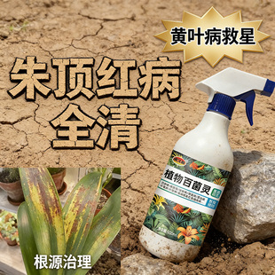 朱顶红红斑病红锈病烂根专用药杀菌剂催花爆芽素种球根营养液肥料