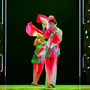 舞蹈演出表演服装 同款 专业定制 风摆柳 女子民族民间舞花鼓灯