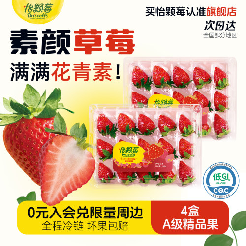怡颗莓云南素颜草莓新鲜水果