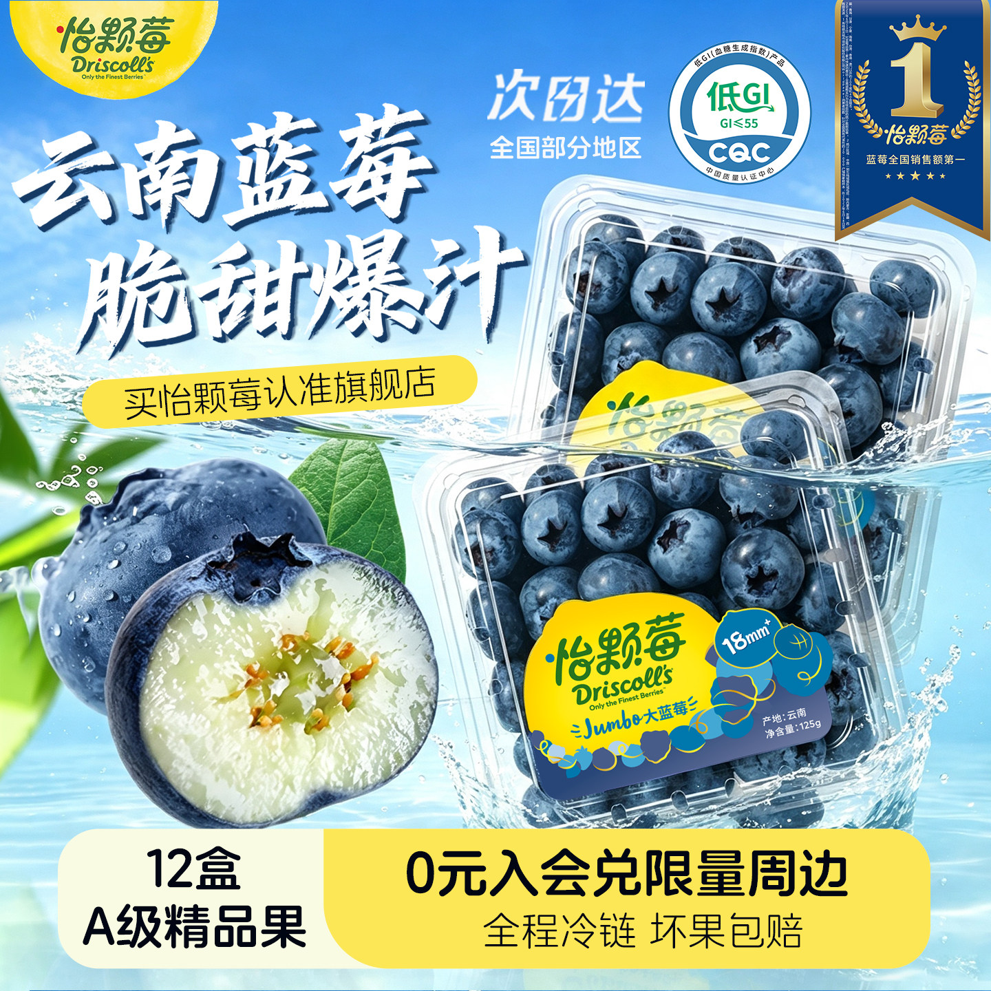 【云南蓝莓季】Driscoll's怡颗莓云南蓝莓鲜果脆甜蓝莓新鲜水果