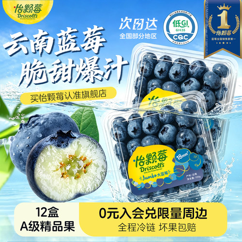 怡颗莓蓝莓应季新鲜水果大果