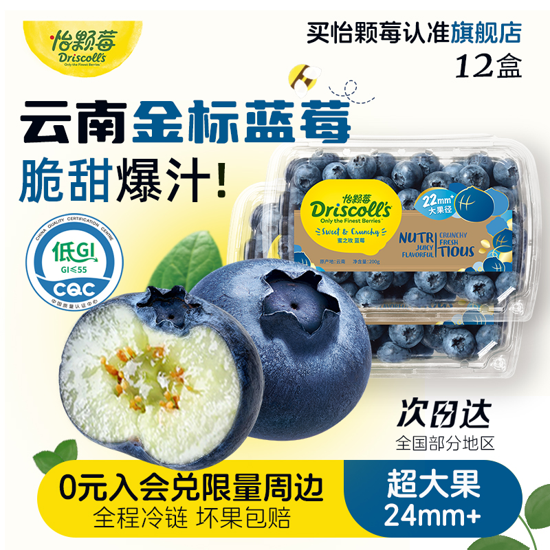 怡颗莓蓝莓新鲜当季水果300g/盒