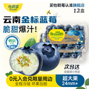 蓝莓鲜水果 Driscolls怡颗莓云南超大果蓝莓钻石款 金标蜜之玫