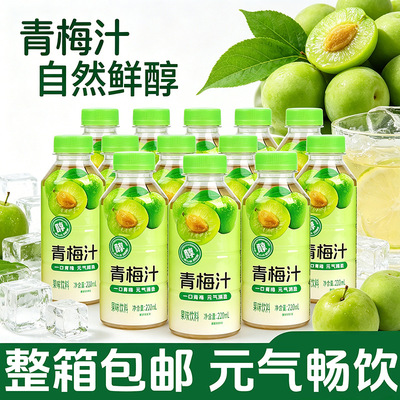 延边风味青梅汁开胃解渴风味饮品220ml梅子汁饮料酸甜饮料果汁