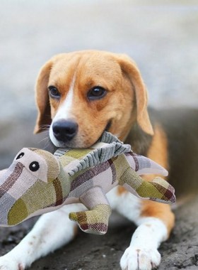 Practical Funny Pet Dog Bite Resistant Toy Fine Workmanship