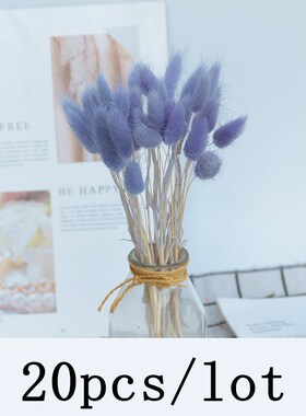 Bulrush Natural Dried Flowers Artificial Plants Branch Color