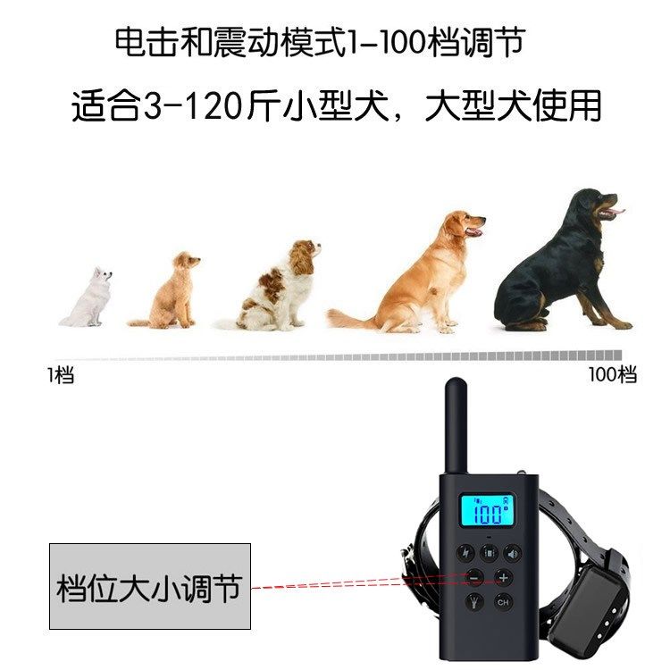 stop barking is small for the huge dog dog training to