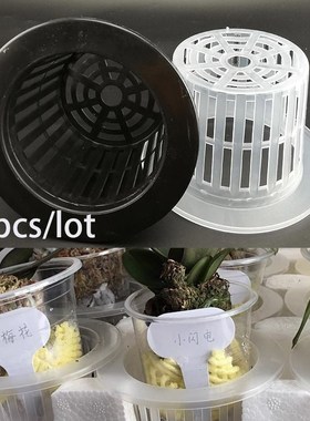 20x Mesh Pot Net Cup Basket Soilless Hydroponic colonization