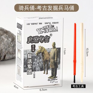 Excavation toy dinosaur tyrannosaurus rex skeleton model