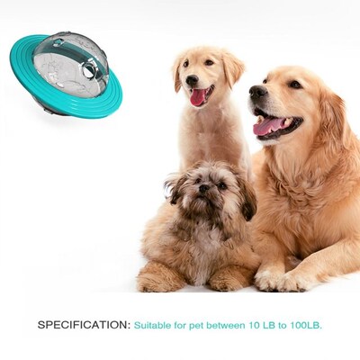 Food Dispener Ball Traning Puzzle Set Multifunctional Intera