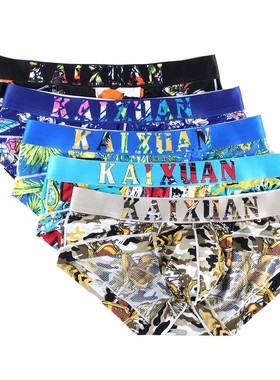 Summer Men Underwear Briefs Shorts Mesh Printed Male Nylon S