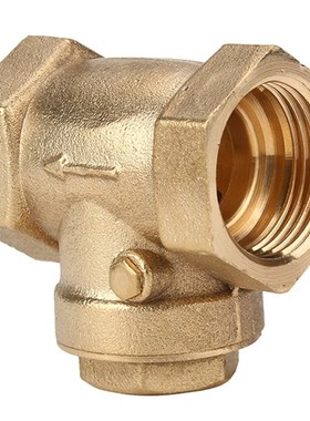 3/4 Inch BSPP Swing Check Valve Prevent Water Backflow Golde