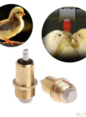 5 Pcs Poultry Chicken Rabbit Automatic Water Drinking Screw