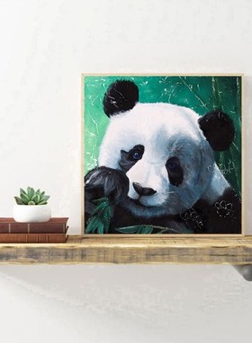 Diamond Painting Mural Students Hand Tools DIY Special Shape