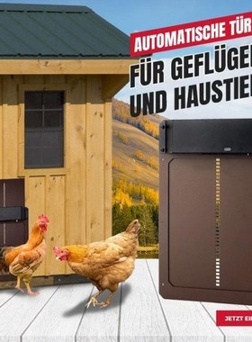 Automatic Chicken Coop Door Upgraded Automatic Chicken House