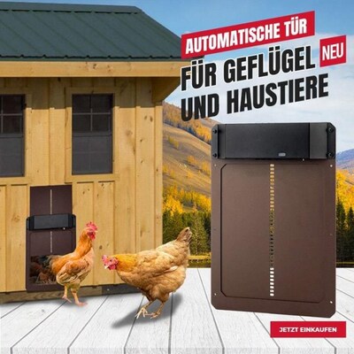 Automatic Chicken Coop Door Upgraded Automatic Chicken House