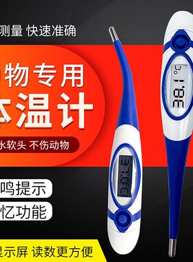 Farm animals with electronic thermometer pigs with