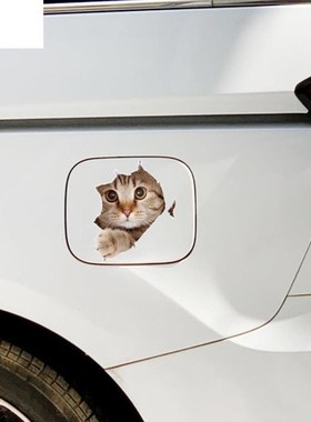 3 d kittens sticker trill web celebrity  personality