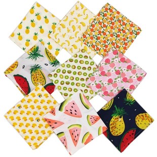 Fruit Print Pet Dog Bandana Small Dog Cat Scarf Adjustable C