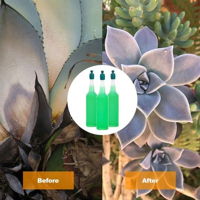 3PCS Hydroponic Liquid Fertilizer Nutrient Solution  Hydropo