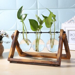 Glass and Wood Vase Planter Terrarium Table Desktop Hydropon