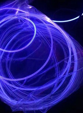 Car 2.5 mm one cold light atmosphere light core tube stealth