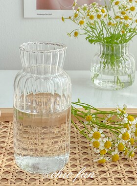 Ins wind transparent glass hydroponic water raise floret