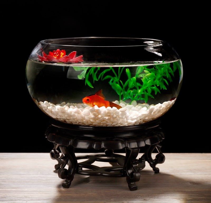 goldfish bowl glass desktop circular cylinder cylinder desk