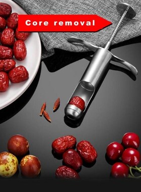 Stainless Steel Cherry Jujube Corer Pitter Kitchen Fruits Co
