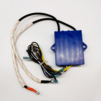 Commercial Gas Oven Universal 220v Pulse Igniter for Kitchen