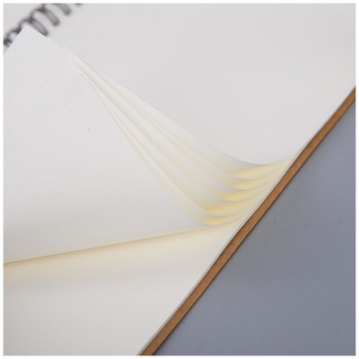 Journal A5 Notebook PP Grid Dotted Line Blank Drawing Planne