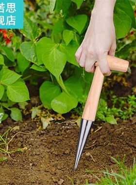 Gardening Fertilizing Vegetable Per适用于ating Tool Stainles
