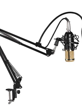 BM800 Microphone Set Computer Network Karaoke Chat Dedicate