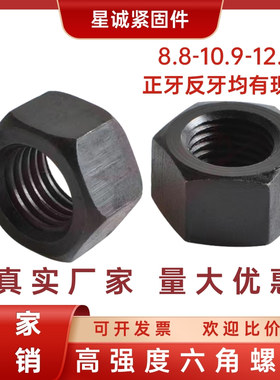 12.9级/8.8级黑色螺母/8.8级细牙螺母螺丝帽M3M4M5M6M8M10M12-M80