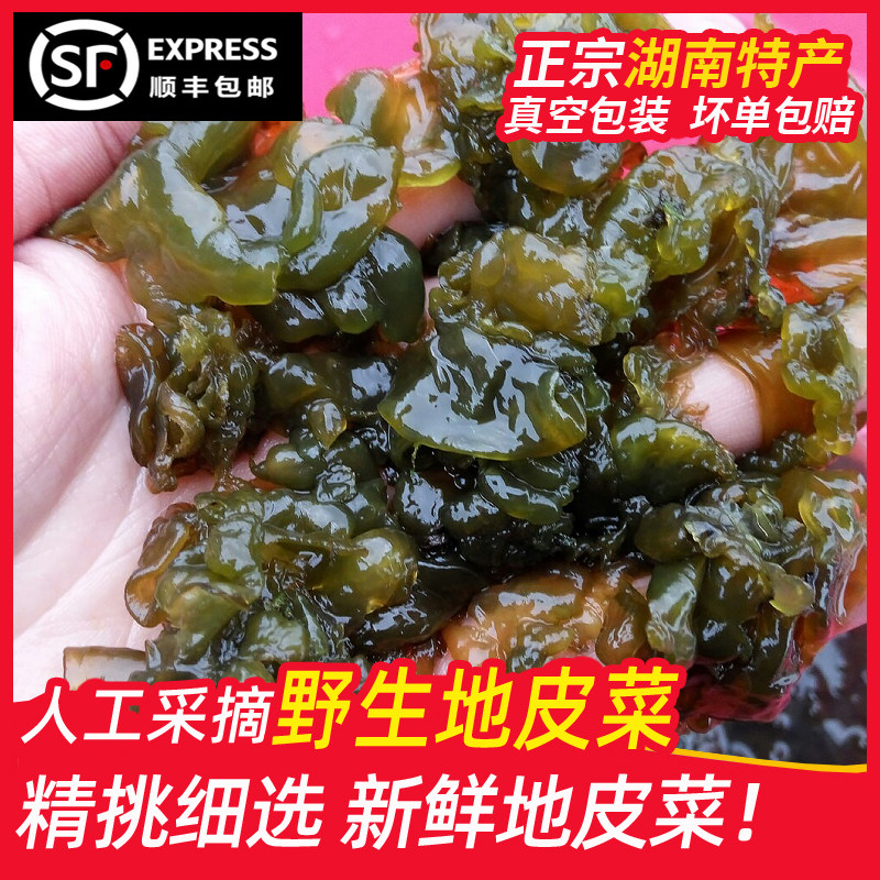 湖南野生新鲜地皮菜地耳免洗地衣苔藓地软雷公菌地木耳非干货真空,粮油调味/速食/干货/烘焙,特色干货及养生干料,淘宝优惠券,粉丝福利购,淘宝优惠卷